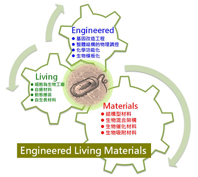 淺談工程生物材料在水處理領域的應用